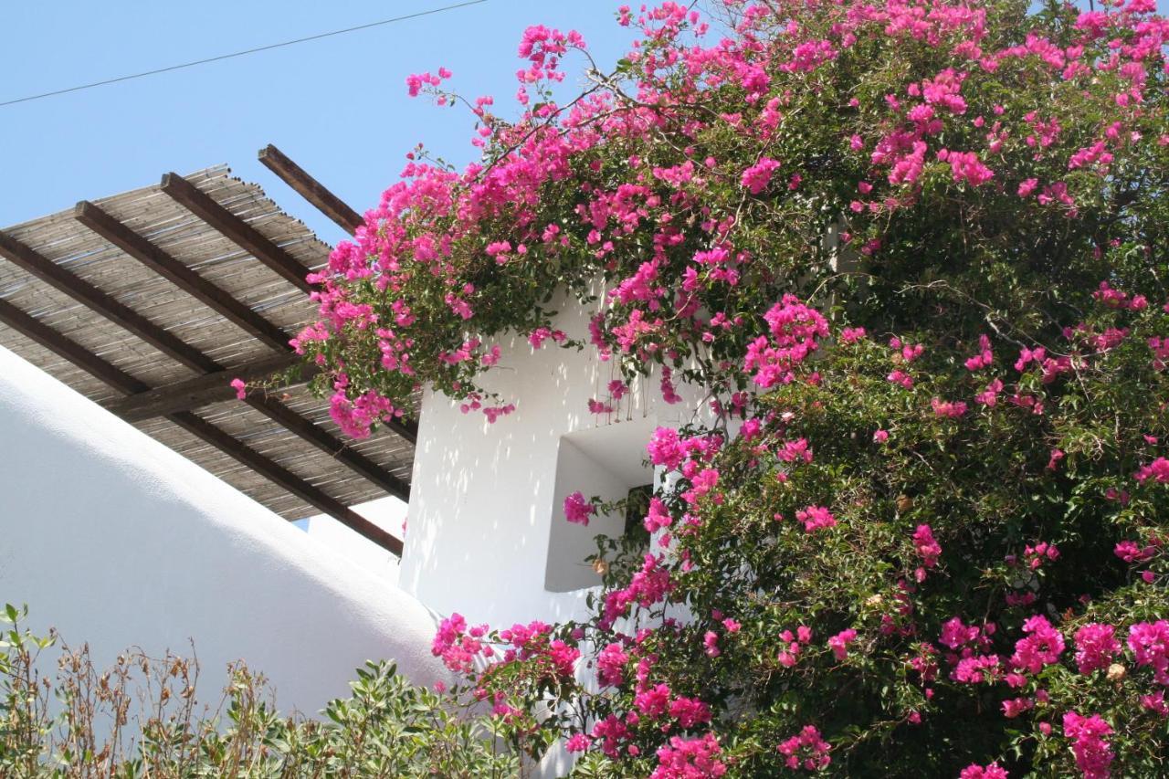 Petra Holiday Village Chora  Exterior photo